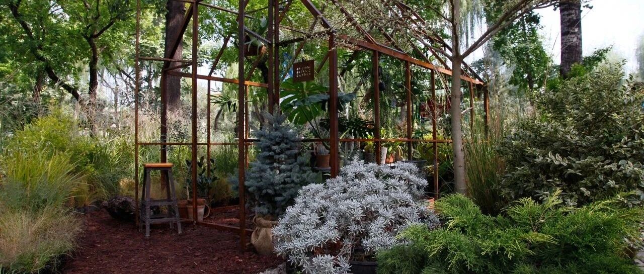 在期待中回归 | 2025北京国际花植设计节招募正式启动