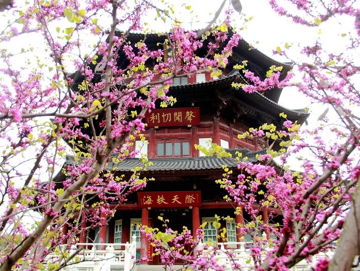 美丽寺院 | 苏州寒山寺
