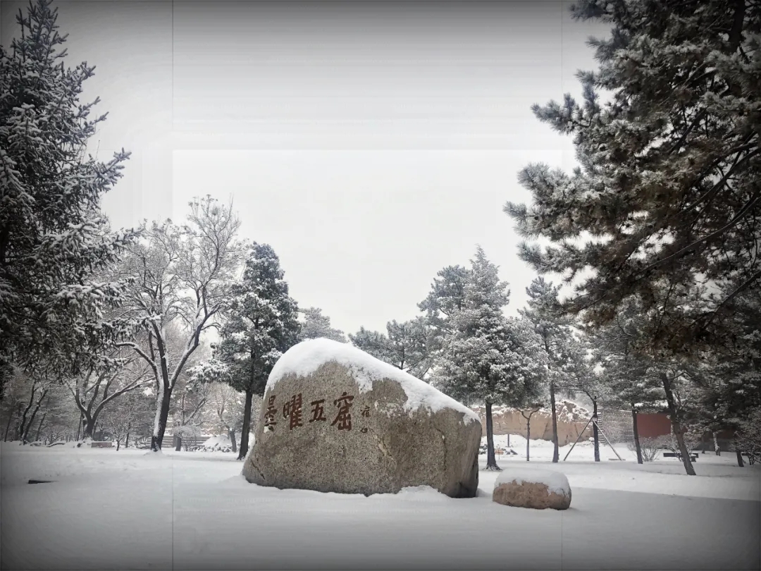2021云冈石窟的初雪：冬天已经来了