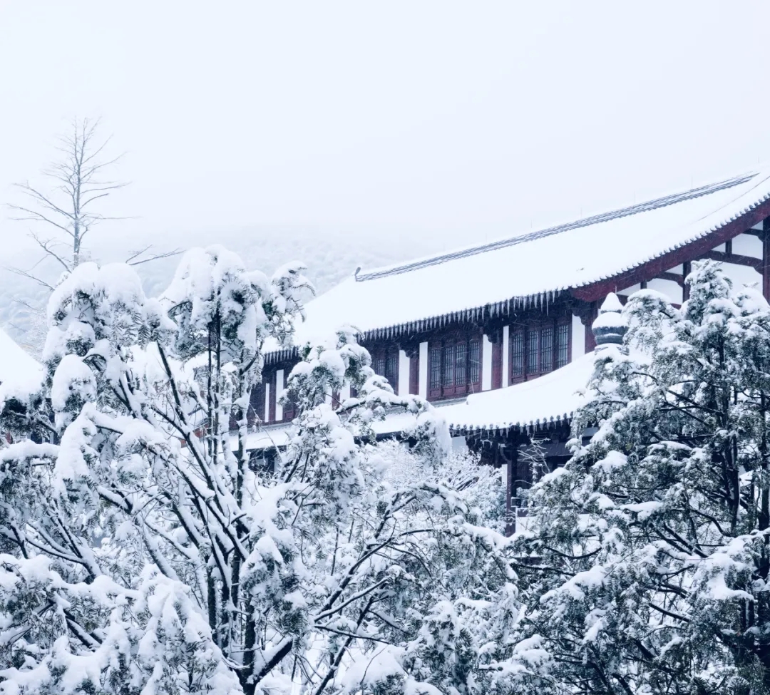 辛丑岁末，径山禅寺再迎瑞雪