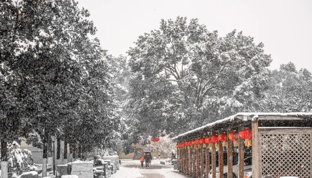 东林祖庭壬寅新年第一场瑞雪