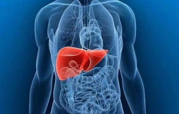 肝脏不好的症状是什么?哪家医院能做肝功检查