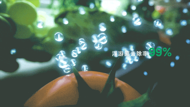 6.gif