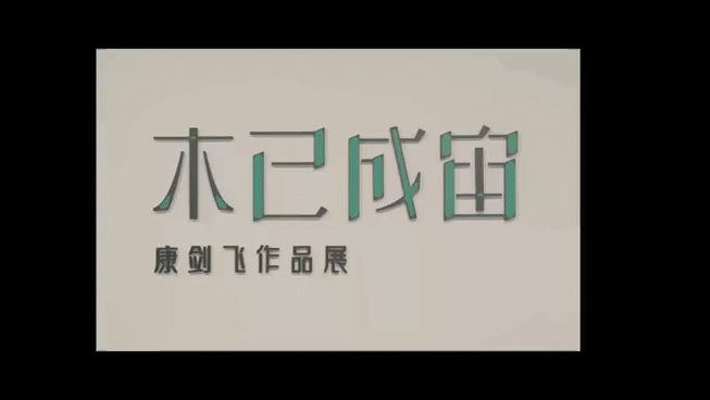飞1.gif